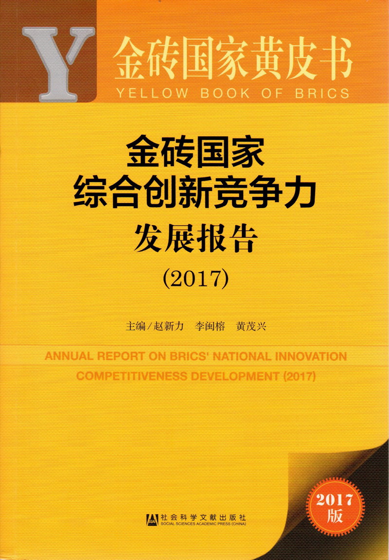 男生用屌艹美女免费视频网站金砖国家综合创新竞争力发展报告（2017）